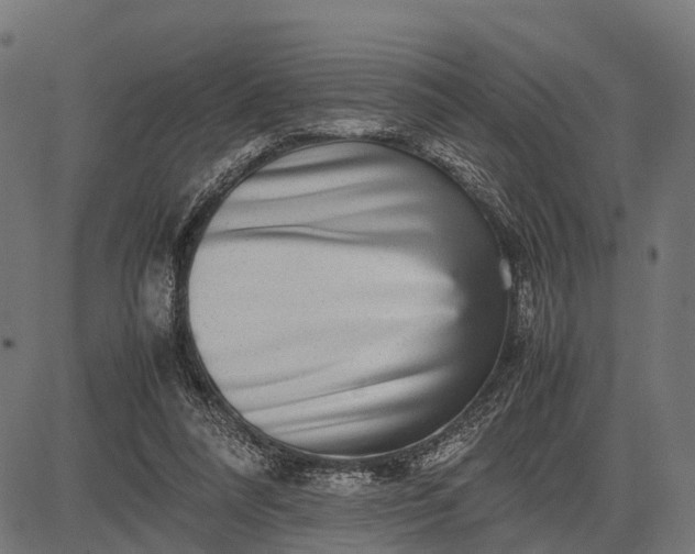 X0000082720304200702091819