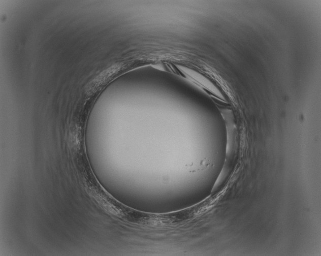 X0000082720305200702091819