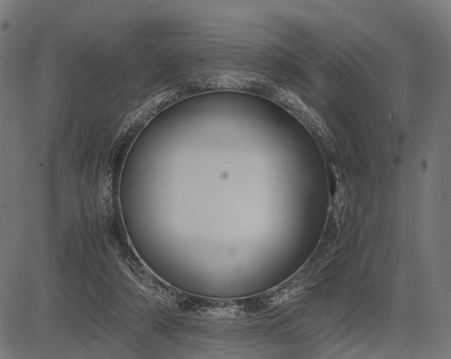 X0000082720306200702091819