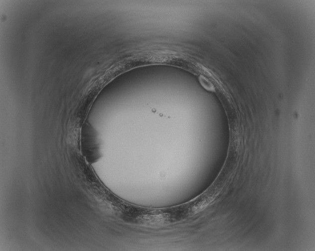 X0000082720307200702091819