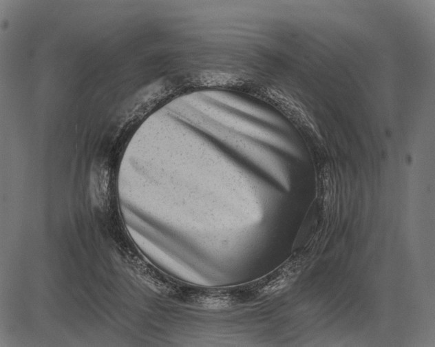 X0000082720308200702091819