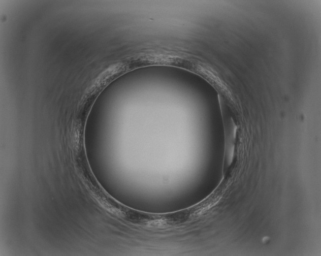 X0000082720309200702091819