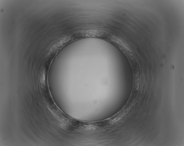 X0000082720310200702091819