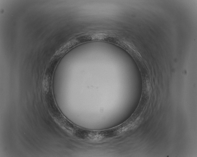 X0000082720311200702091819