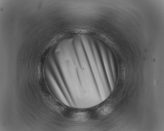 X0000082720312200702091819