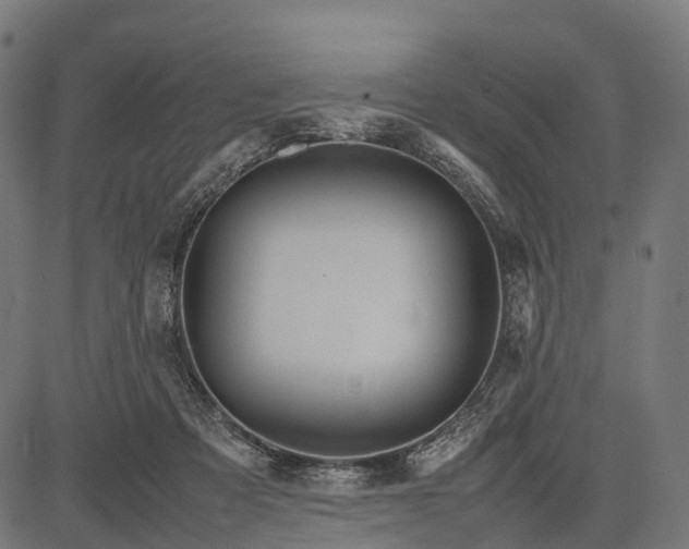 X0000082720313200702091819