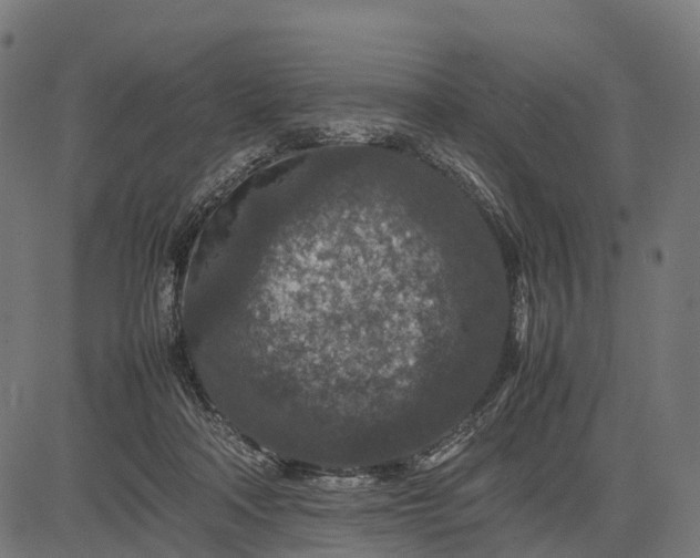 X0000082720314200702091819