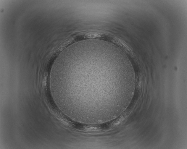 X0000082720315200702091819