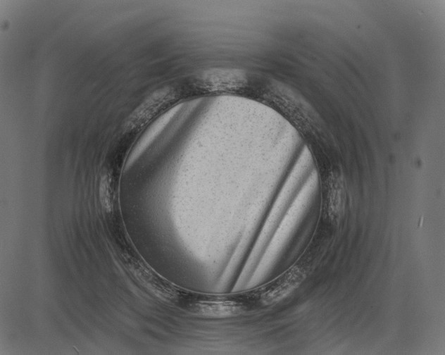 X0000082720316200702091819