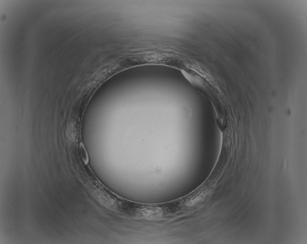 X0000082720317200702091819