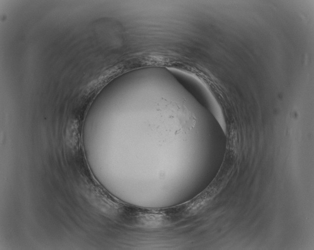 X0000082720318200702091819