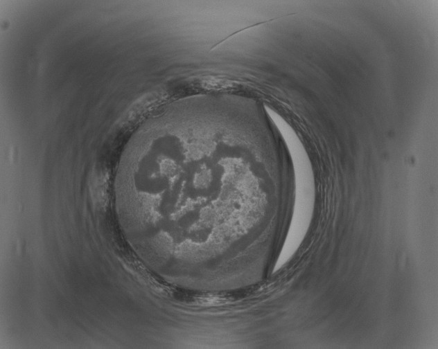 X0000082720319200702091819