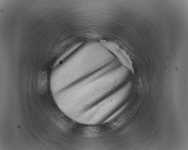 X0000082720320200702091819