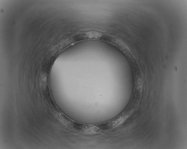 X0000082720321200702091819