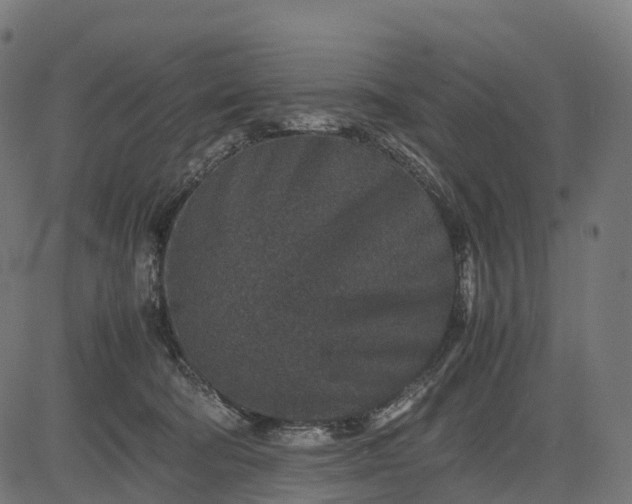 X0000082720322200702091819