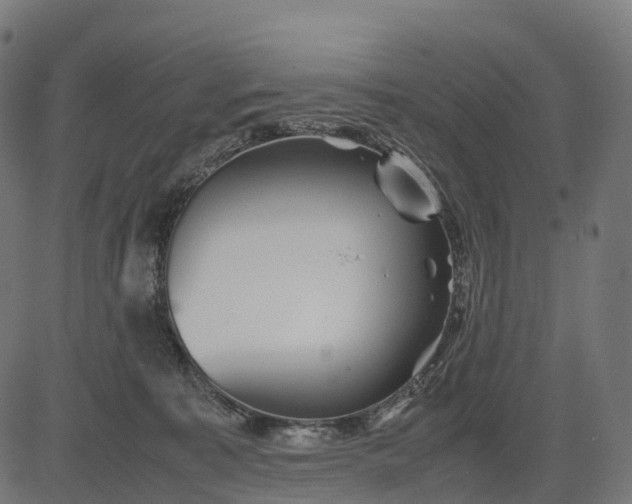 X0000082720323200702091819