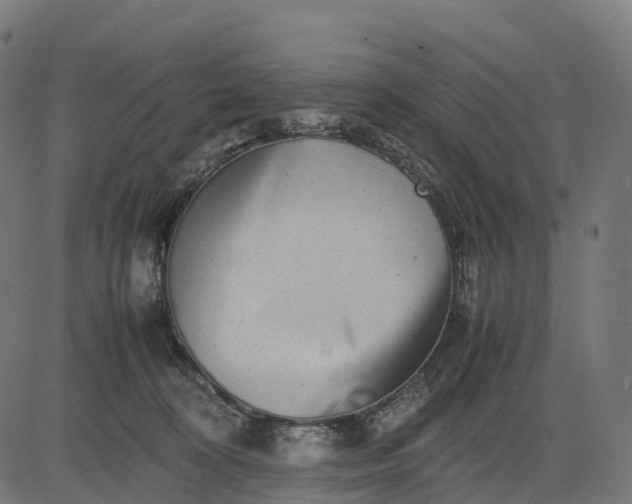 X0000082720324200702091819