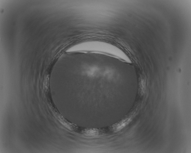 X0000082720325200702091819