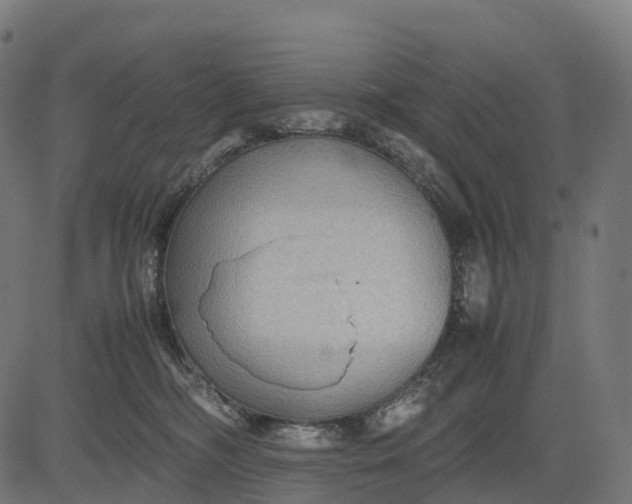 X0000082720326200702091819