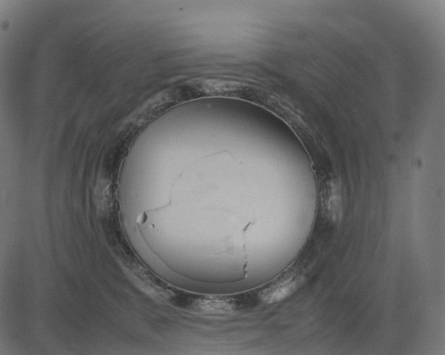 X0000082720327200702091819