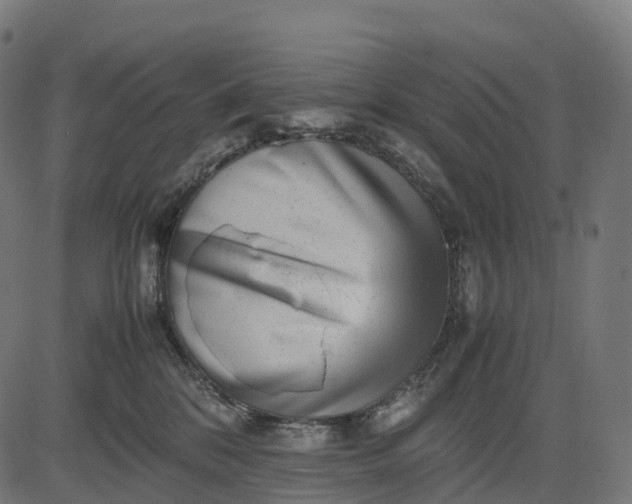 X0000082720328200702091819