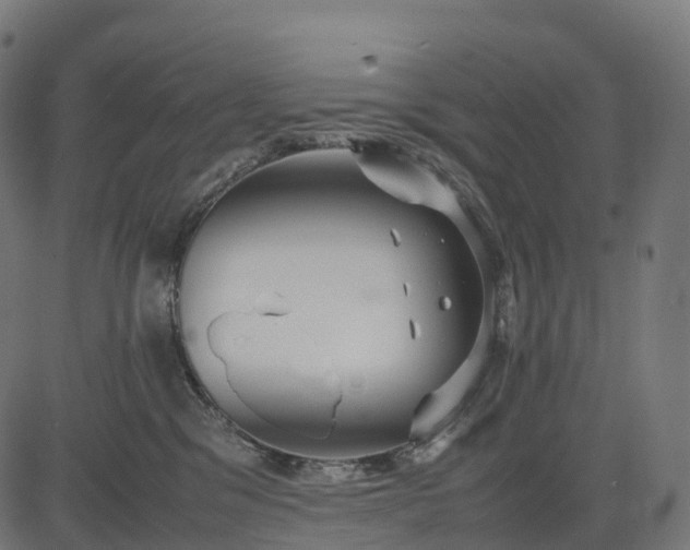 X0000082720329200702091819