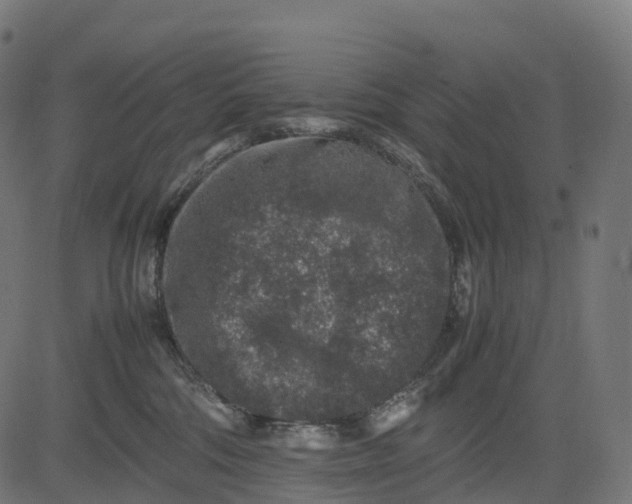 X0000082720330200702091819