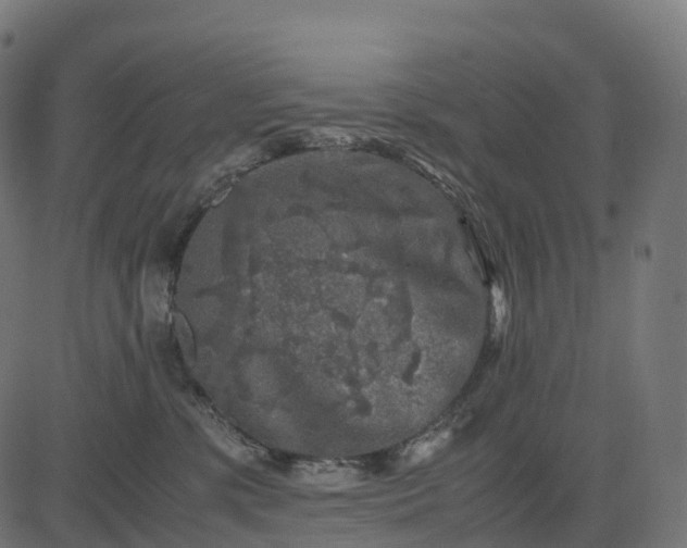 X0000082720331200702091819