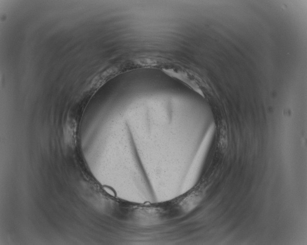 X0000082720332200702091819