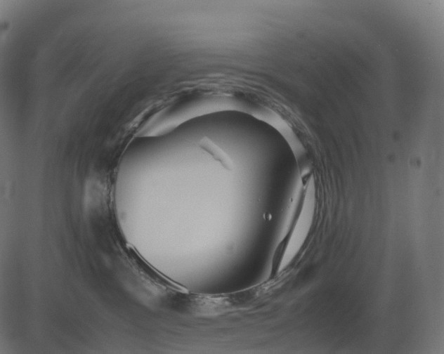 X0000082720333200702091819