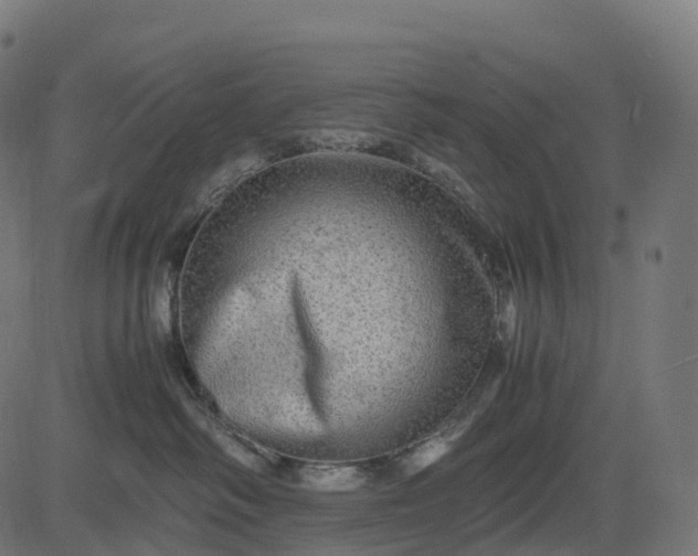 X0000082720334200702091819