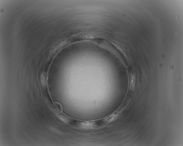 X0000082720335200702091819