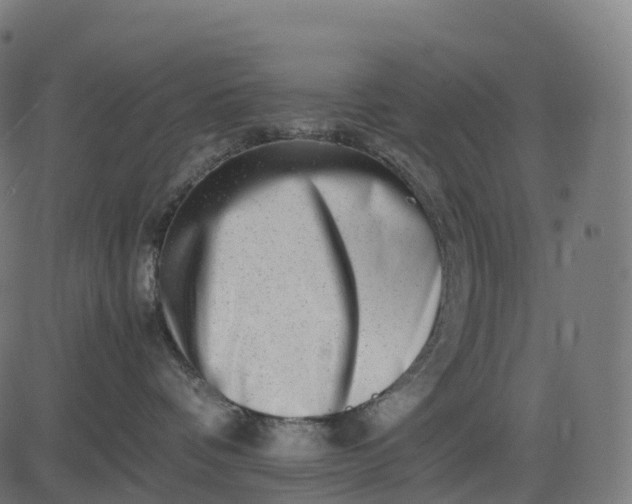 X0000082720336200702091819