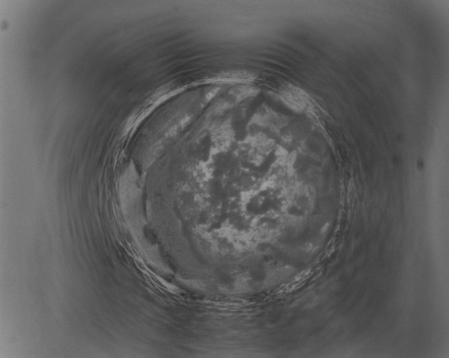 X0000082720337200702091818