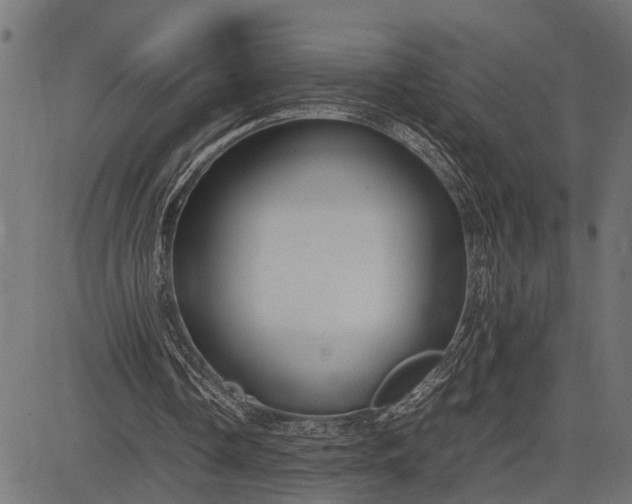 X0000082720338200702091818