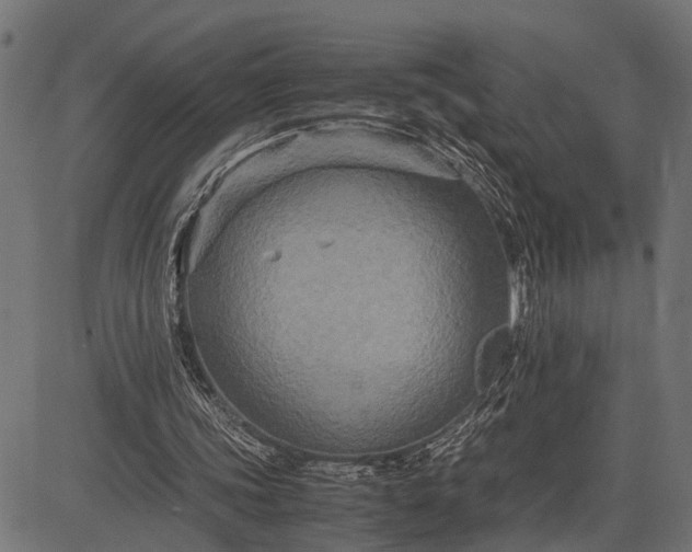 X0000082720339200702091818