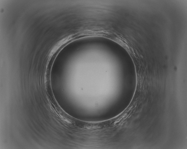 X0000082720340200702091818