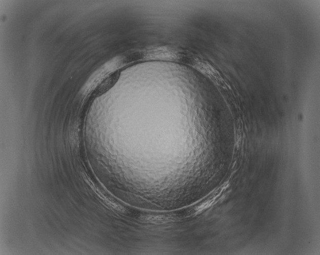 X0000082720341200702091818