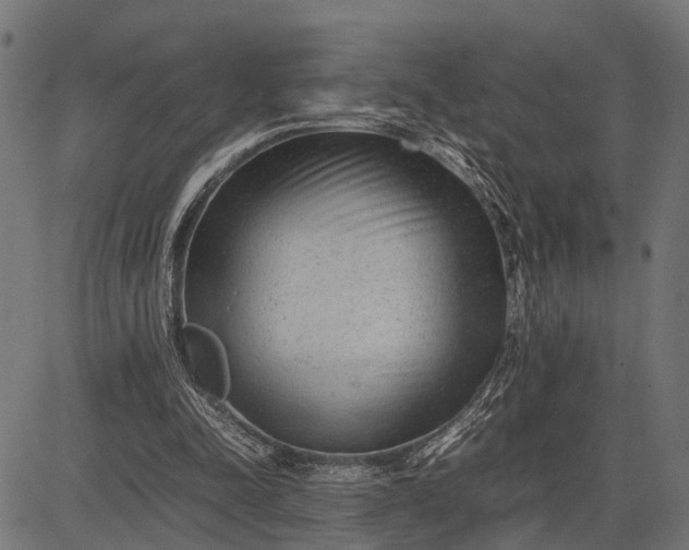 X0000082720342200702091818