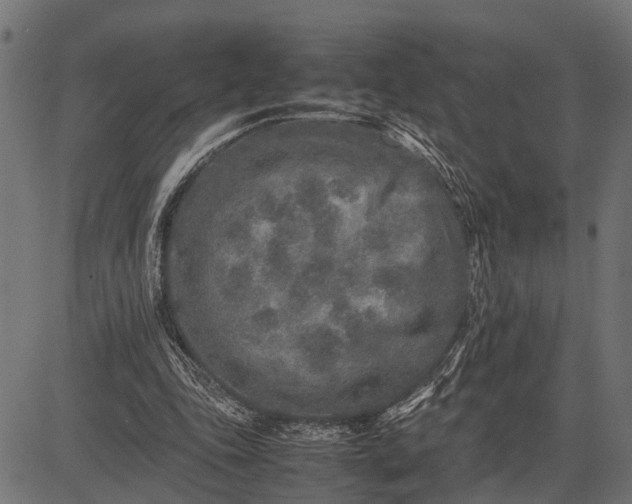 X0000082720343200702091818