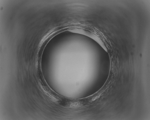 X0000082720344200702091818