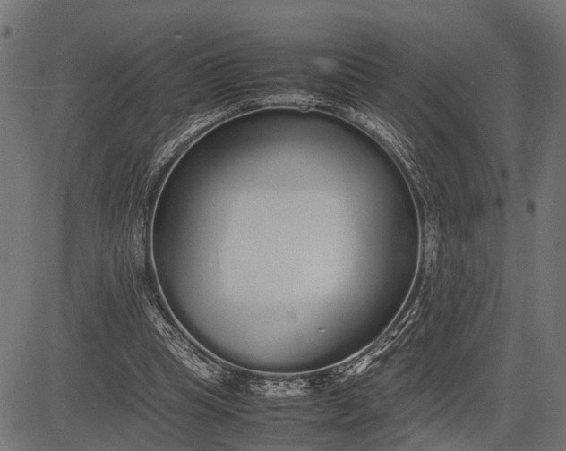 X0000082720345200702091818