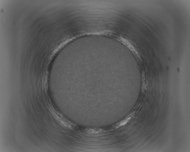 X0000082720346200702091818