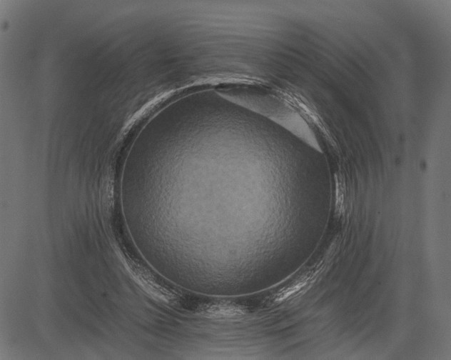 X0000082720348200702091818