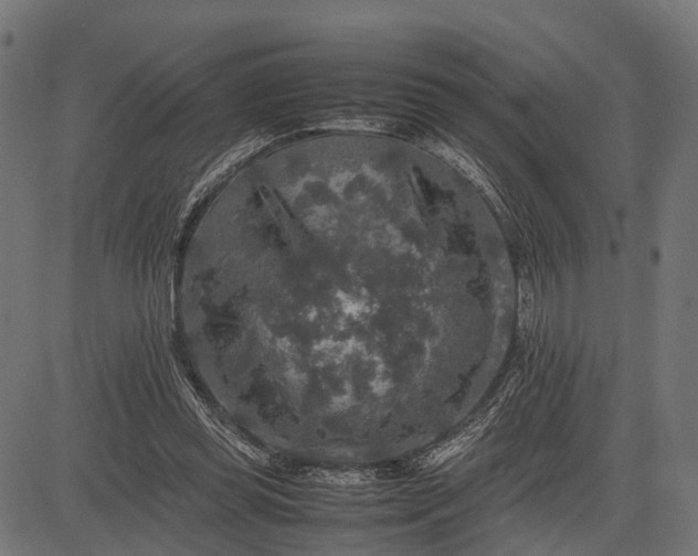 X0000082720349200702091818