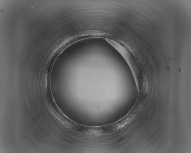 X0000082720350200702091818