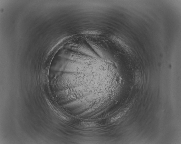 X0000082720351200702091818