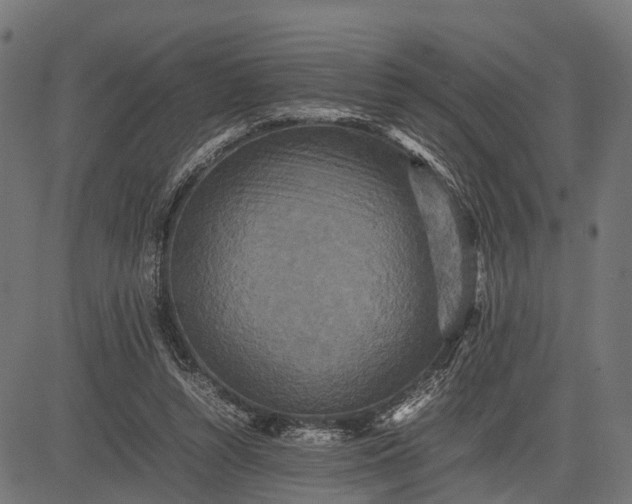 X0000082720352200702091818