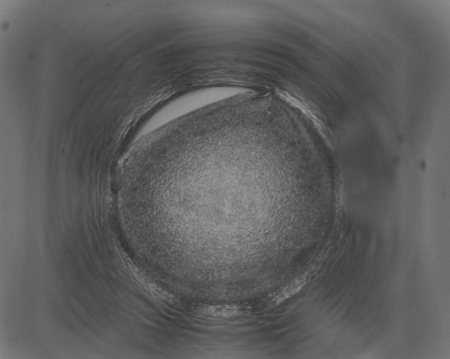 X0000082720353200702091818