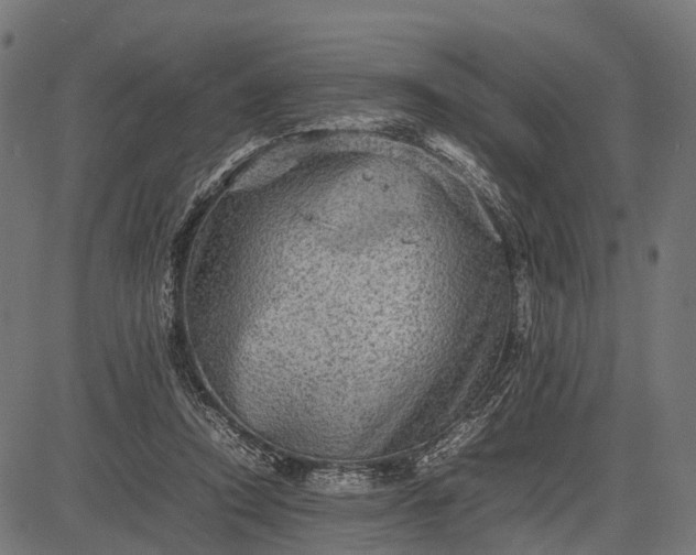 X0000082720354200702091818